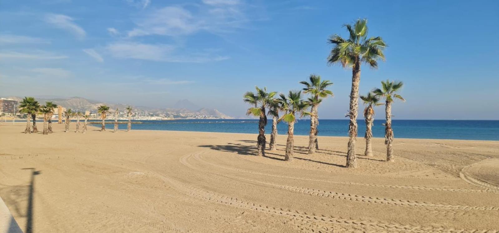 Appartement Jardin Del Mar Playa Muchavista - El Campello - Alicante Extérieur photo