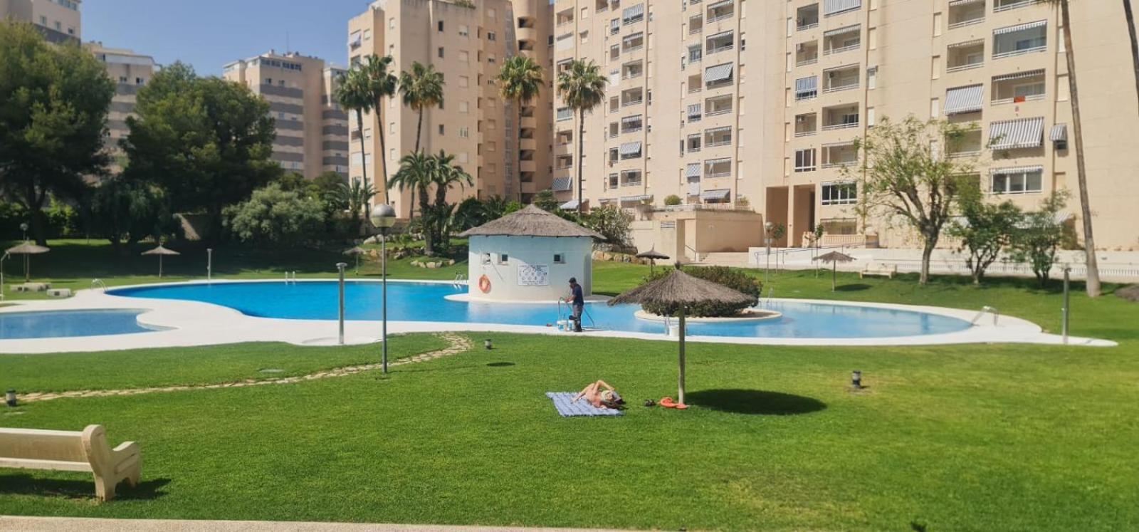 Appartement Jardin Del Mar Playa Muchavista - El Campello - Alicante Extérieur photo